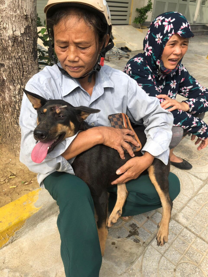 Liên minh bảo vệ chó châu Á chăm sóc đàn chó tạm giữ ở Công an Thanh Hóa - Ảnh 3.