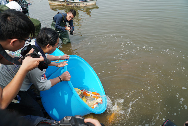 Cá Koi sông Tô Lịch có bảo vệ trông coi cả ngày lẫn đêm - Ảnh 5.