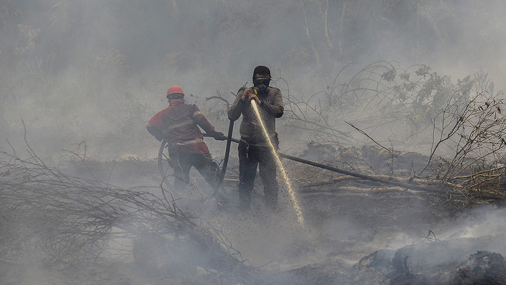 Cháy rừng: Indonesia mất bò 2 lần mới lo làm chuồng? - Ảnh 1.