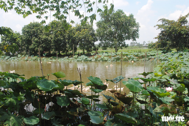 Quê nhà Lai Vung tiếc thương đại tá phi công Nguyễn Văn Bảy - Ảnh 7.