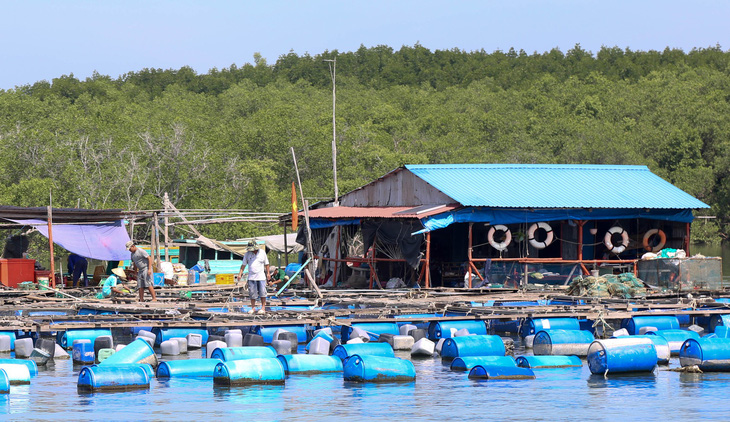 Điện về, xã đảo Thạnh An như khoác áo mới - Ảnh 5.