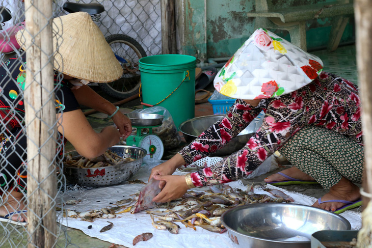 Điện về, xã đảo Thạnh An như khoác áo mới - Ảnh 4.