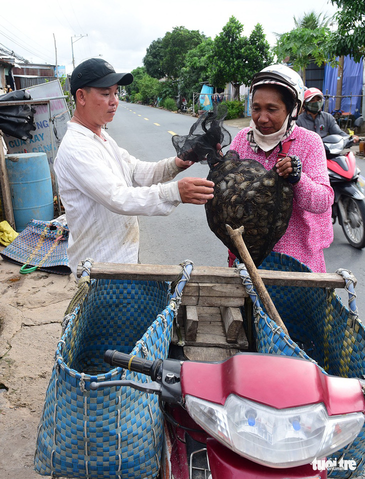 Chợ cua đồng nửa đêm về sáng trong lòng thành phố - Ảnh 3.