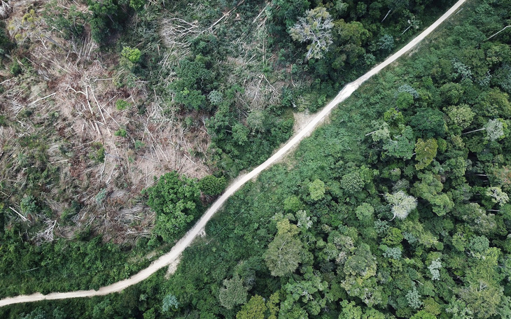 Rừng Amazon góp 20% khí oxy cho Trái đất, có đúng không?