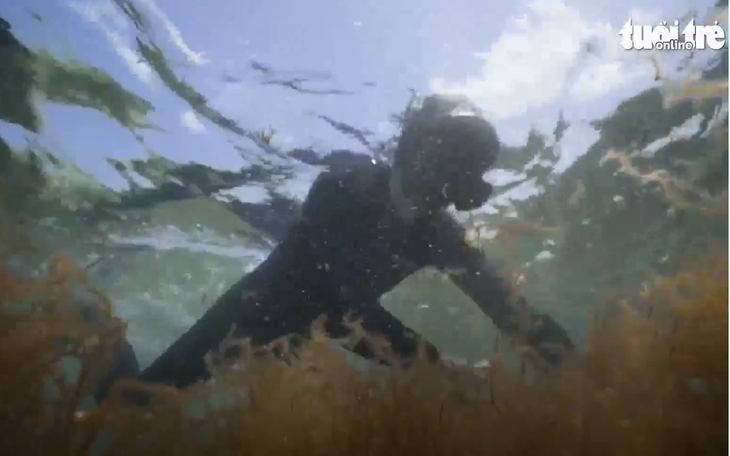 Video: Nghề hái rong dưới đáy biển độc đáo ở Nhật Bản