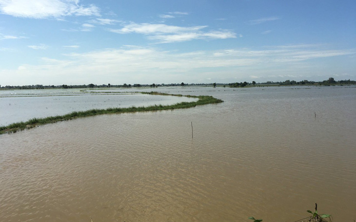 Lũ Campuchia cao nhưng khó ảnh hưởng đến Đồng bằng sông Cửu Long