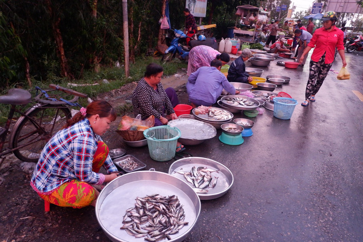 Hoài niệm con cá đồng mùa lũ - Ảnh 3.