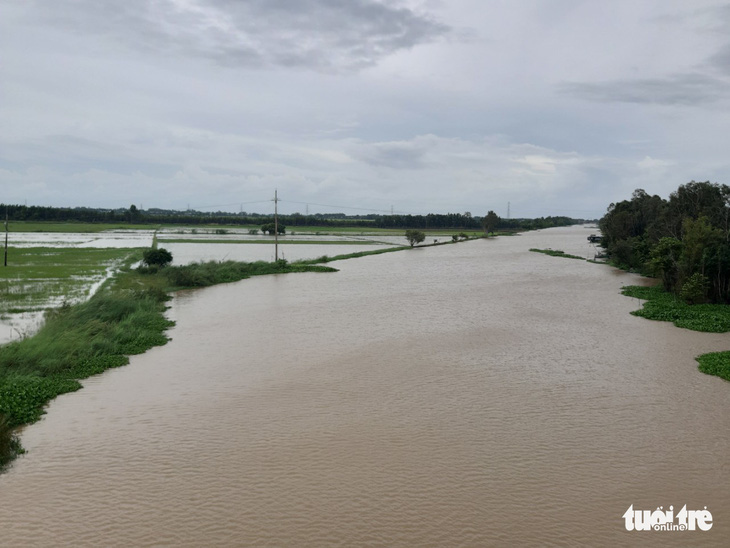Mực nước đầu nguồn sông Cửu Long tiếp tục tăng do mưa bão - Ảnh 2.