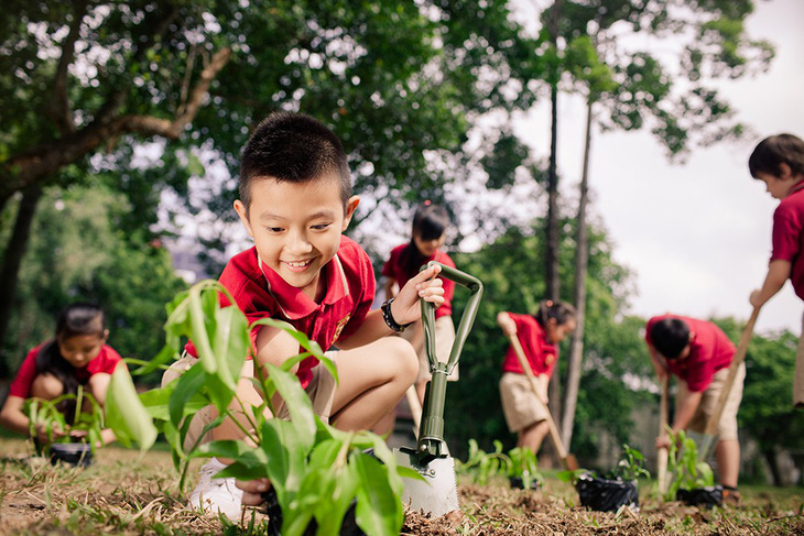 Mùa khai giảng xanh ở VAS - Ảnh 4.