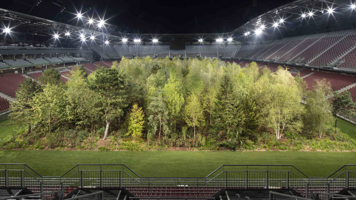 Áo biến sân bóng đá thành khu rừng 300 cây, có cây nặng 6 tấn - Ảnh 2.