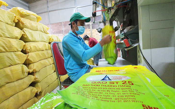 Bộ Nông nghiệp đặc cách công nhận giống lúa thơm ST25 - gạo ngon nhất thế giới