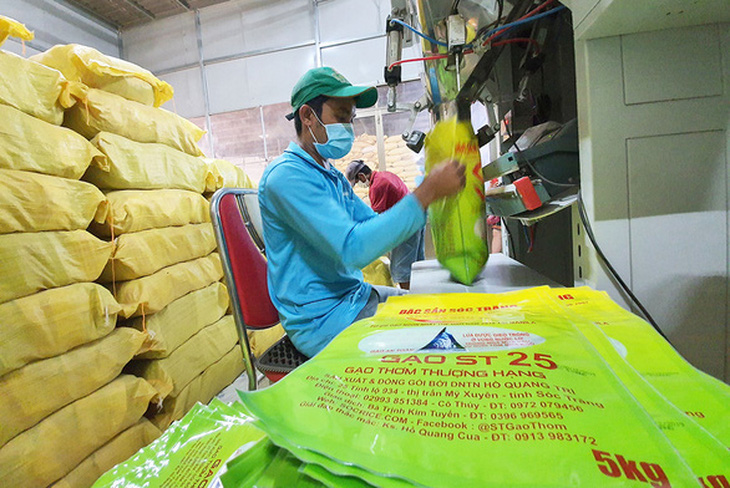 Bộ Nông nghiệp đặc cách công nhận giống lúa thơm ST25 - gạo ngon nhất thế giới - Ảnh 1.