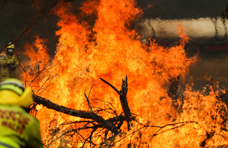 Australia chi tiền điều trị chấn thương tinh thần do cháy rừng gây ra - Ảnh 1.