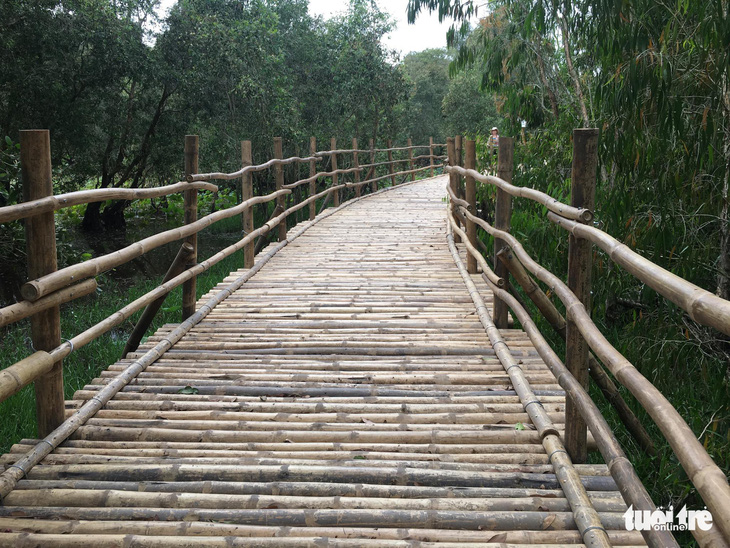 Cầu tre dài nhất Việt Nam và rừng tràm Trà Sư lập kỷ lục Việt Nam - Ảnh 2.