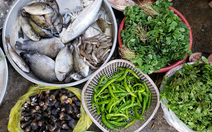 Chợ quê ở Sài Gòn - Kỳ 2: Tôm cá Tam Giang ở Sài Gòn - Ảnh 1.