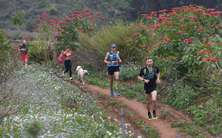 Chú chó 2 tuổi chinh phục cự ly 42km giải marathon tại Mộc Châu