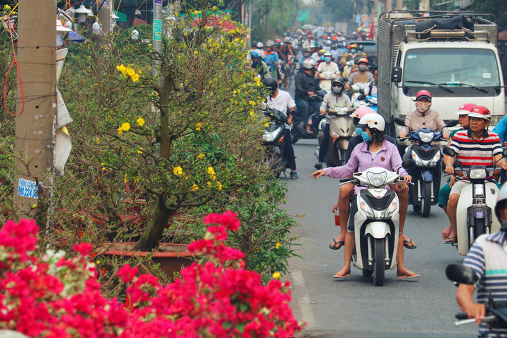 Mai, quất miền Tây vừa cập bến Bình Đông đã có người mua - Ảnh 6.