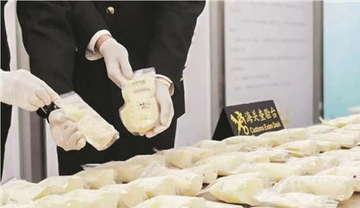 Tịch thu 23kg sữa mẹ của một phụ nữ Trung Quốc tại sân bay - Ảnh 1.