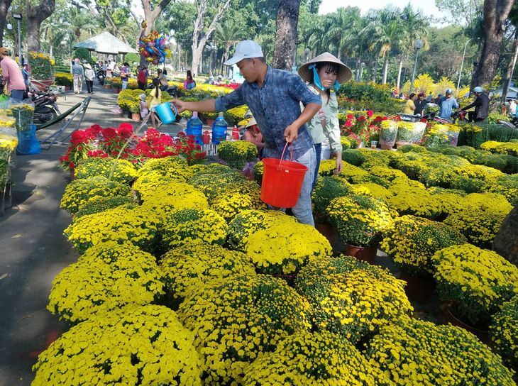 Hoa tết tiêu thụ chậm, người bán lo lắng - Ảnh 6.