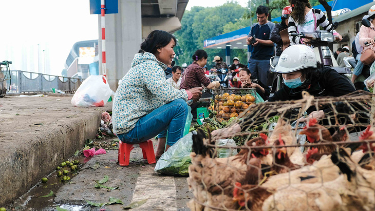 Người Hà Nội chen chân trong phiên chợ cuối cùng của năm - Ảnh 6.