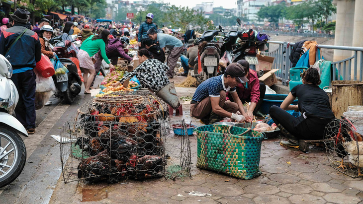 Người Hà Nội chen chân trong phiên chợ cuối cùng của năm - Ảnh 5.