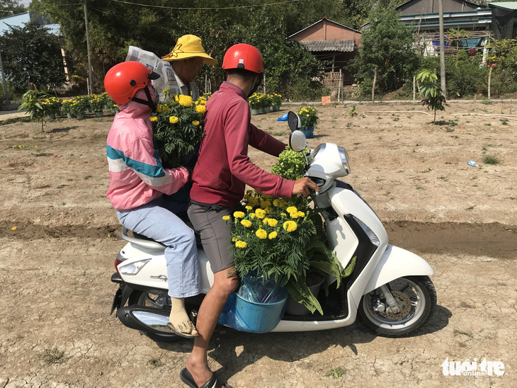 28 tết, lái bùng 3.000 chậu hoa, dân mạng tràn tới cứu lão nông Bình Chánh - Ảnh 2.