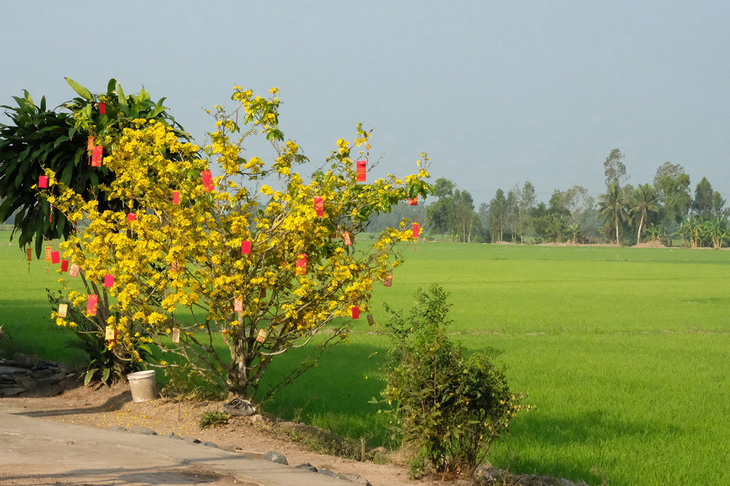 Tết là đây, con đã về với mẹ, sau 20 năm... - Ảnh 1.