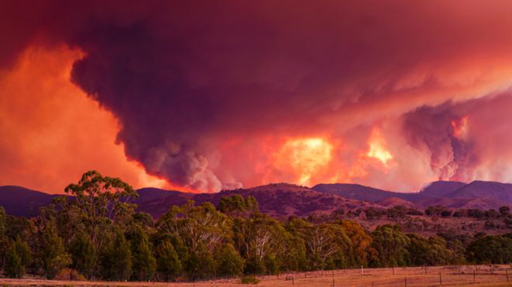 Úc tuyên bố tình trạng khẩn cấp nguy cơ cháy rừng ngay ở thủ đô - Ảnh 1.