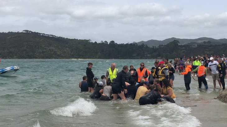 Cả ngàn người già trẻ, trai gái khẩn cấp cứu 11 cá voi mắc cạn - Ảnh 9.