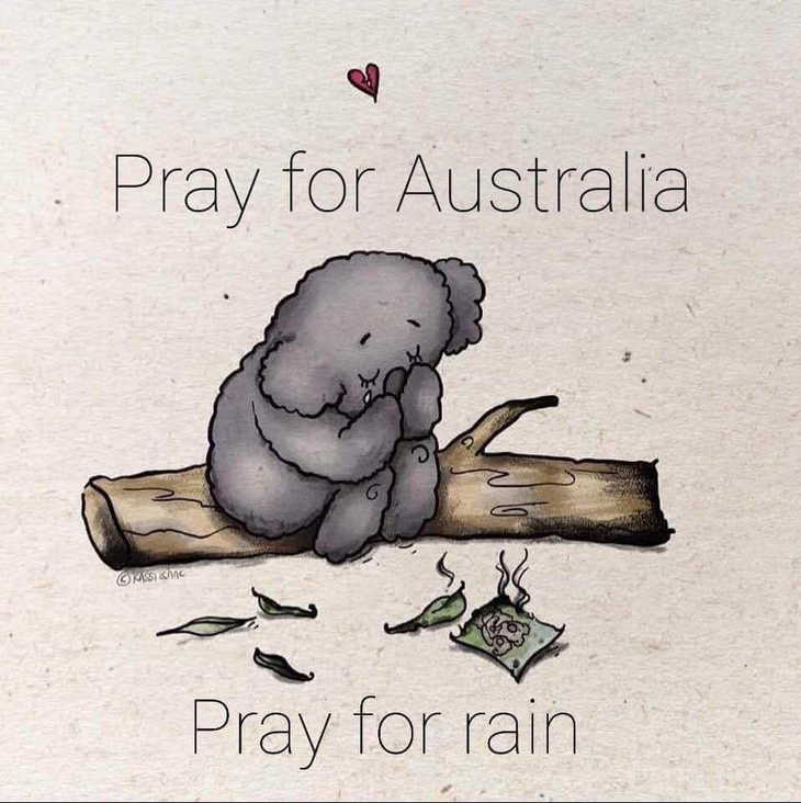 Thế giới cầu nguyện cho nước Úc vượt qua trận cháy rừng thảm khốc - Ảnh 4.