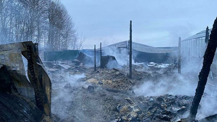 Cán bộ ĐSQ Việt Nam đến hiện trường vụ cháy ở Nga, nghi cả 8 nạn nhân là người Việt - Ảnh 1.