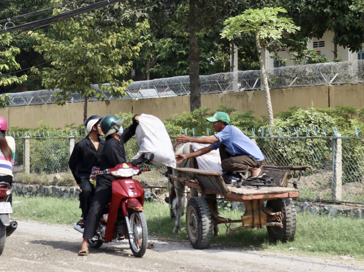 Những chiếc xe ngựa cuối cùng ở Bảy Núi - Ảnh 5.