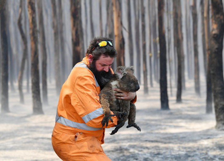 Đảo Kangaroo của Úc cháy ngoài tầm kiểm soát, chính quyền kêu gọi di tản - Ảnh 6.