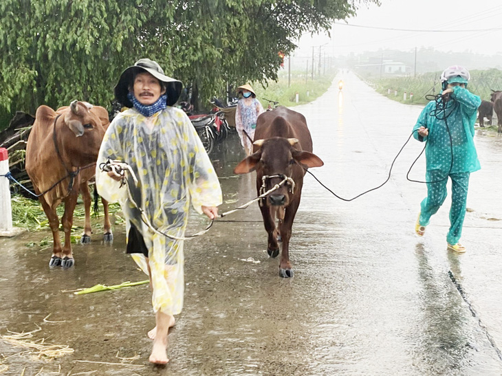 Thủy điện, thủy lợi cùng xả nước, Huế đối mặt lũ lớn hơn mức 20 năm trước - Ảnh 3.