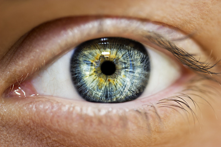 Con người mang sẵn gen có thể giúp hồi phục mắt hỏng - Ảnh 1.