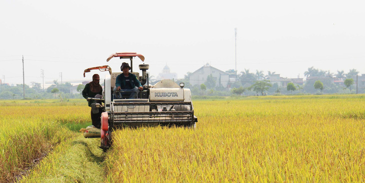 Thái Bình cấm tàu thuyền ra khơi để phòng chống bão số 7 - Ảnh 2.