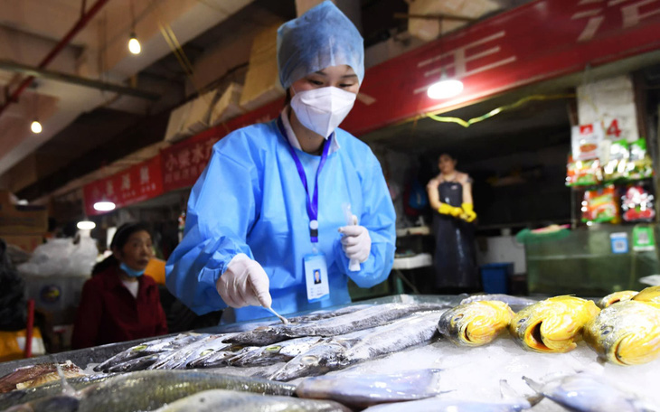 Trung Quốc nói virus corona trên bao bì thực phẩm đông lạnh có thể lây nhiễm