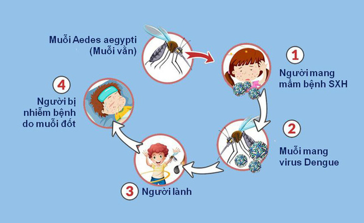 Không nên xem nhẹ dịch bệnh sốt xuất huyết và các bệnh do muỗi gây ra - Ảnh 1.
