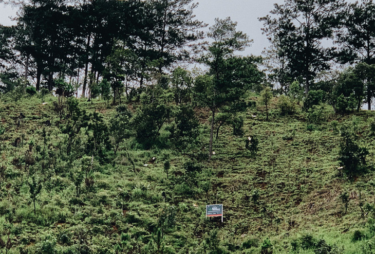 Hà Anh Tuấn trồng 1.800 cây rừng để giúp chống lũ trong dự án Rừng Việt Nam - Ảnh 2.