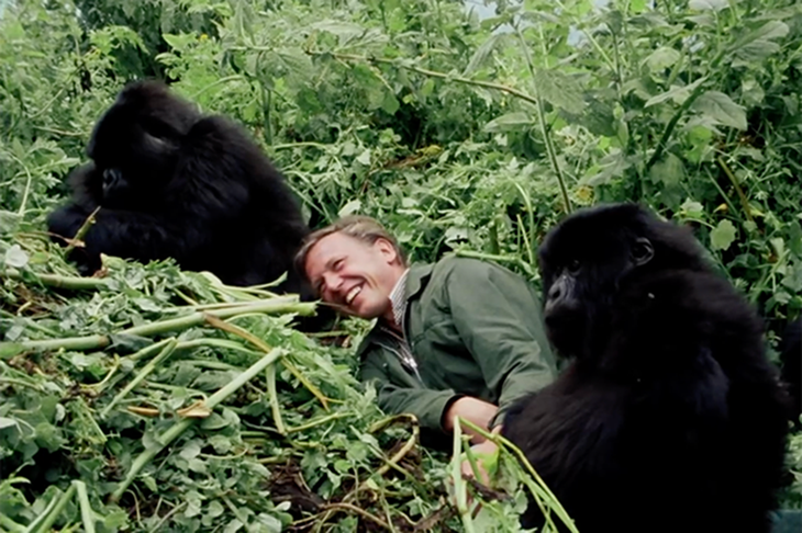 David Attenborough: A Life on Our Planet - Chăm lo cho thiên nhiên trước khi quá muộn - Ảnh 5.