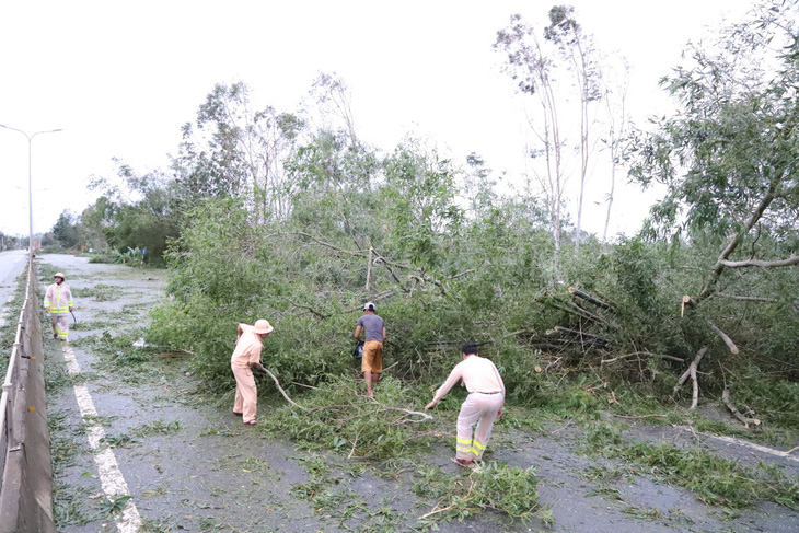 Sau bão, quốc lộ 1 qua Quảng Nam ngổn ngang cây cối - Ảnh 6.