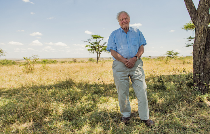 David Attenborough: A Life on Our Planet - Chăm lo cho thiên nhiên trước khi quá muộn - Ảnh 6.