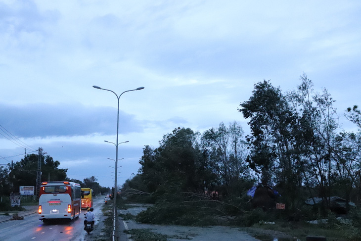 Sau bão, quốc lộ 1 qua Quảng Nam ngổn ngang cây cối - Ảnh 4.