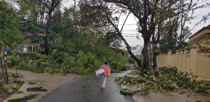 Đảo Cù Lao Chàm như bị xé vụn sau bão số 9 - Ảnh 7.