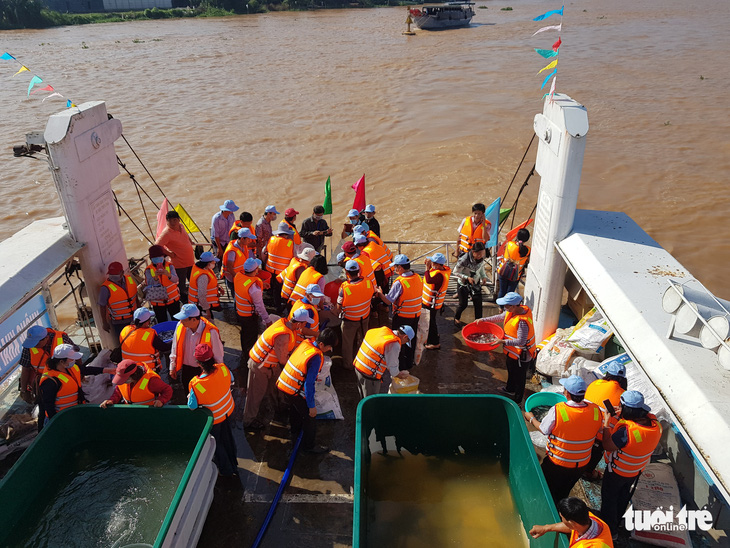 An Giang thả trên 18 tấn cá về sông để tái tạo nguồn lợi thủy sản - Ảnh 3.