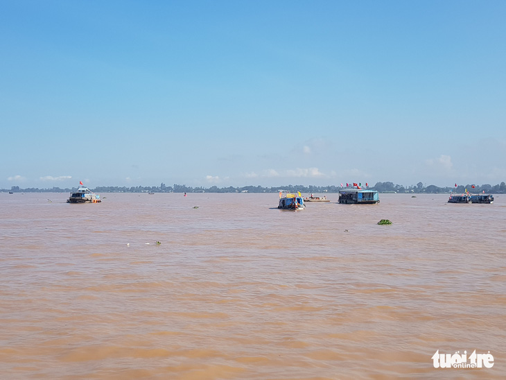 An Giang thả trên 18 tấn cá về sông để tái tạo nguồn lợi thủy sản - Ảnh 7.