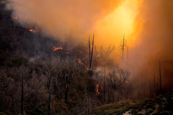 4 triệu hecta rừng bị thiêu rụi ở California, gấp đôi kỷ lục năm 2018 - Ảnh 2.