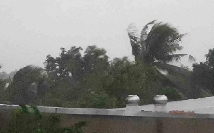 Phú Yên đã có gió giật mạnh cấp 9, cảnh báo ngập lụt hạ du