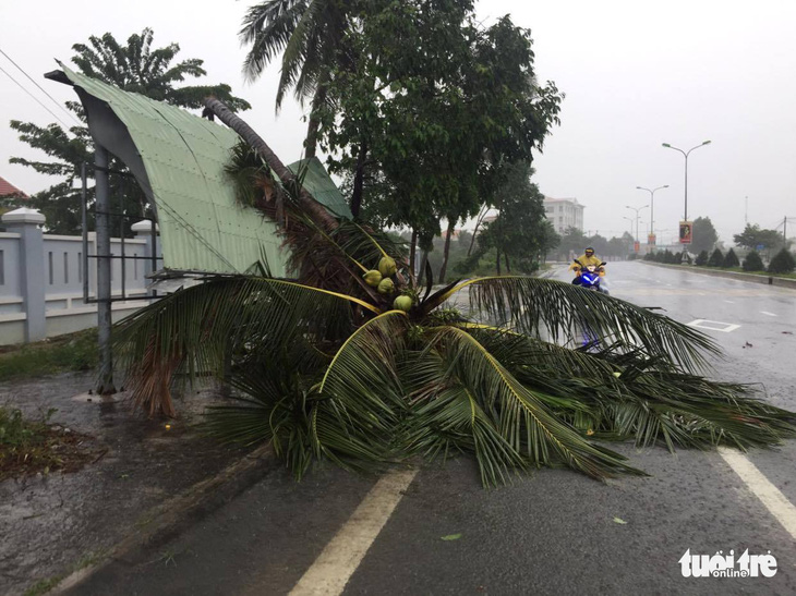 Bão đã vào đất liền và suy yếu thành áp thấp, nhiều nơi mất điện, cây đổ - Ảnh 9.