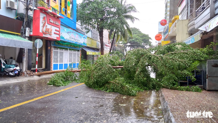 Bão đã vào đất liền và suy yếu thành áp thấp, nhiều nơi mất điện, cây đổ - Ảnh 18.